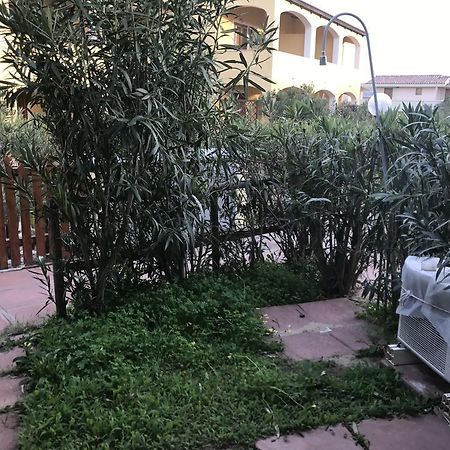 Gemma Delle Mimose Apartman Badesi Kültér fotó